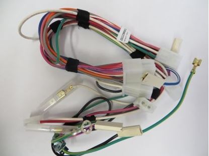 Picture of Speed Queen ASSY,WIRING HARN HOOD PKG - Part# 202229P