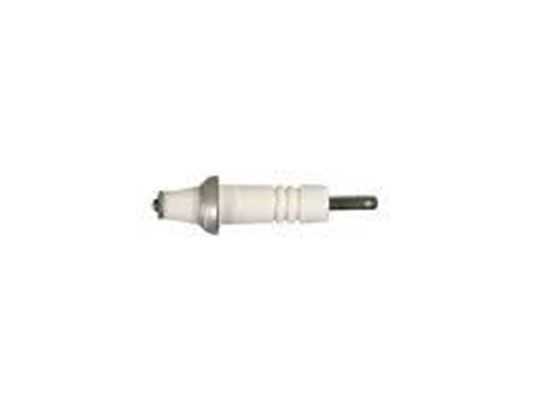 Picture of GE IGNITER - Part# WB13T10073