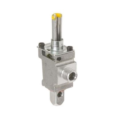 Picture of GE GAS VALVE - Part# WB21K5030