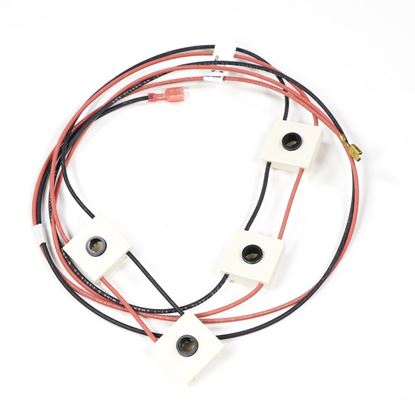 Picture of Frigidaire Electrolux Kelvinator Westinghouse Tappan O'keefe and Merritt Sears Kenmore Stove Oven Range Cook Top WIRING HARNESS WITH IGNITOR SWITCHS - Part# 316219004