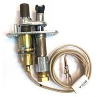 Buy RPI Part# P322954 at PartsIPS