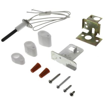 Buy RPI Part# IG80V at PartsIPS
