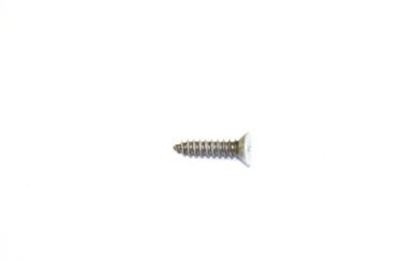 Picture of GE SCREW ST 8-18 (BISQUE) - Part# WB01T10033