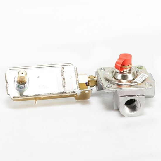 Picture of GE PRESSURE REGULATOR - Part# WB19T10089