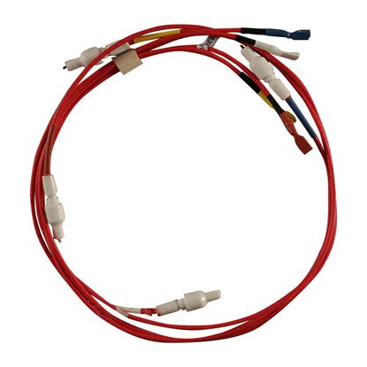 Picture of GE Electrodes & Harness H.V - Part# WB18X26607