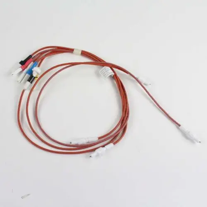 Picture of GE Electrodes & Harness H.V - Part# WB18X26980