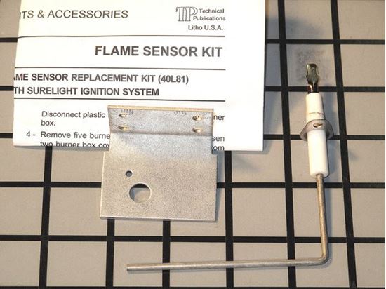 Picture of FLAME SENSOR KIT - Part# 40L81