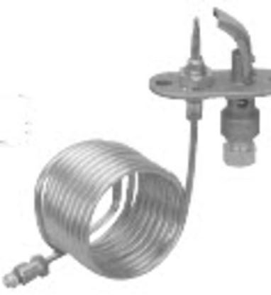 Picture of Whirlpool PILOT-BRNR - Part# WPW10206112