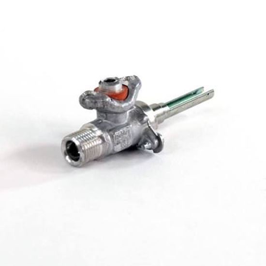 Picture of Whirlpool VALVE-BRNR - Part# WPW10290838