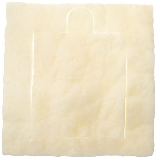 Picture of Frigidaire INSULATION - Part# 316403700