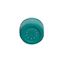 Buy RPI Part# T1205 at partsIPS