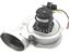 Buy RPI Part# BLW1320 at PartsIPS