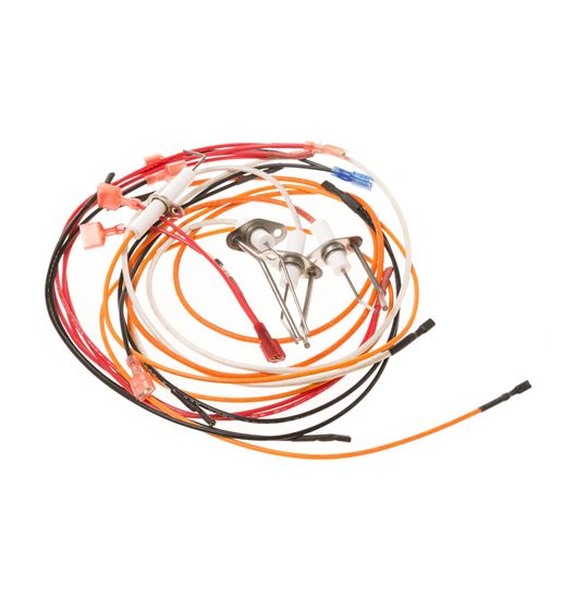 Picture of GE KIT - ELECTRODE - Part# WB02X11432