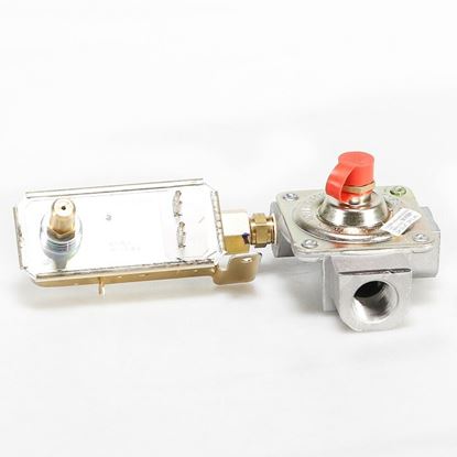 Picture of GE PRESSURE REGULATOR - Part# WB19T10089