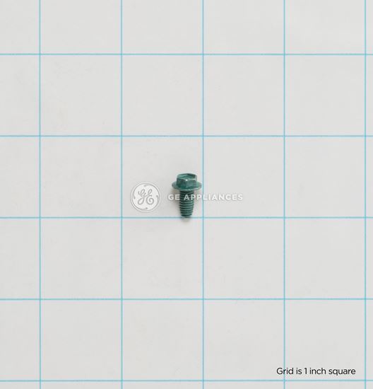 Picture of GE Screw - Part# WB1X1261