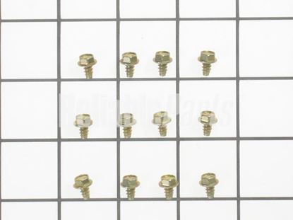 Picture of GE 12 Screws - Part# WB1X500D