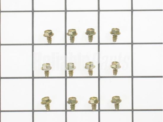 Picture of GE 12 Screws - Part# WB1X500D