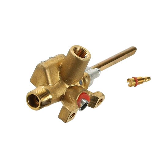 Picture of Fisher & Paykel Kit Valve Dual Flo + Core - Part# 255197