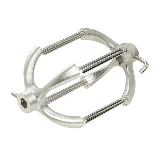 Picture of Fisher & Paykel Fork Rotisserie (Pkt) - Part# 212340P