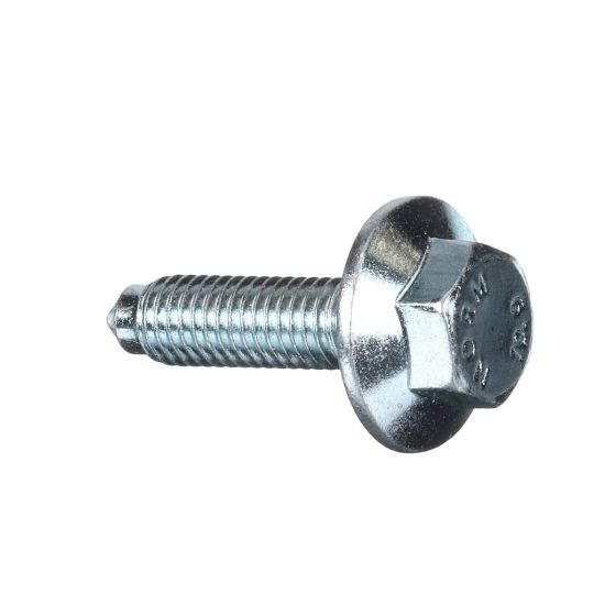 Picture of Bosch Screw Part# 171270