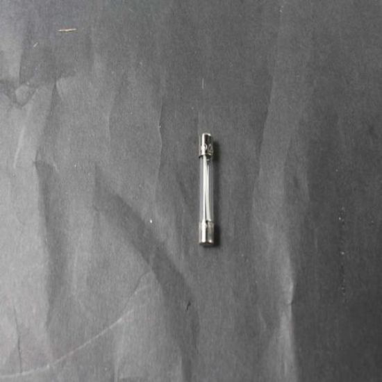 Picture of Bosch Fuse Part# 631389