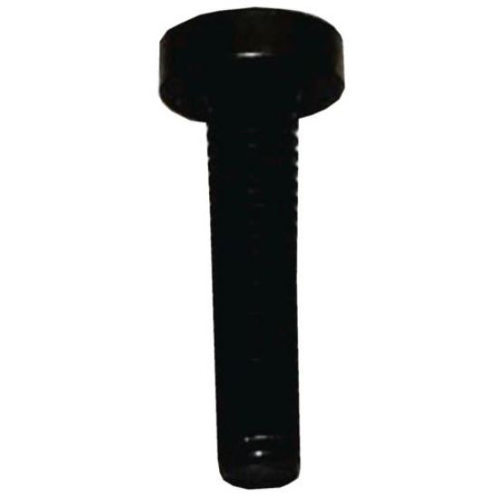 Picture of Bosch Screw Part# 10004531