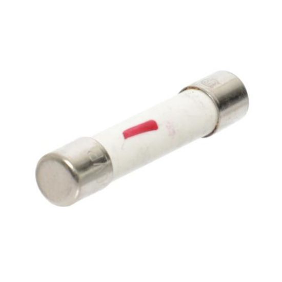 Picture of Bosch Fuse Part# 10008215