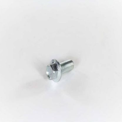 Picture of Electrolux Screw,pulley Mtg.,m10 X 0.92 Part# 131303700