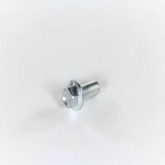 Picture of Electrolux Screw,pulley Mtg.,m10 X 0.92 Part# 131303700