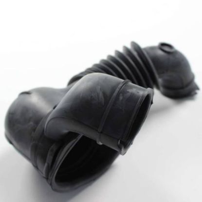 Picture of Electrolux Hose,coin Trap,tub-to-pump Part# 134639920