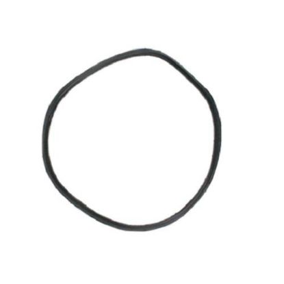 Picture of Electrolux Gasket,sump Part# 154246801