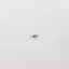 Picture of Electrolux Screw-#8-32 X 3/8 Part# 240555002