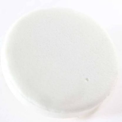 Picture of Electrolux Insulation-door Part# 241688601