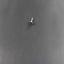 Picture of Electrolux Screw,8-18 X 0.5,Chrome Part# 316021109