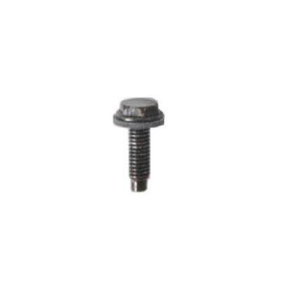 Picture of Electrolux Screw,burner Mtg Part# 316069301