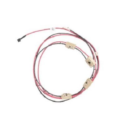 Picture of Electrolux Wiring Harness,w/igntr Switch Part# 316219004