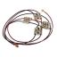 Picture of Electrolux Wiring Harness,w/igntr Switch Part# 316219019