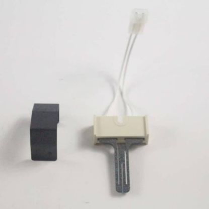 Picture of Electrolux Flat Ignitor Kit Part# 5303937186