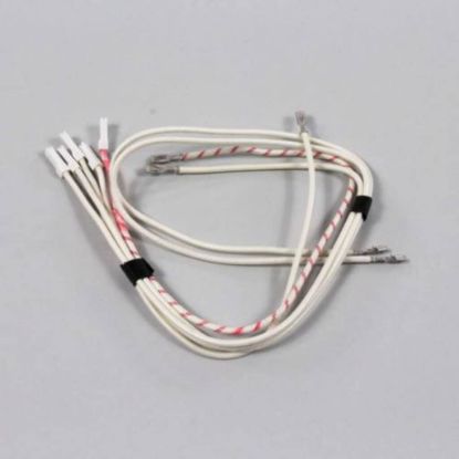 Picture of Electrolux Harness,ignitor Module Part# 5304494425