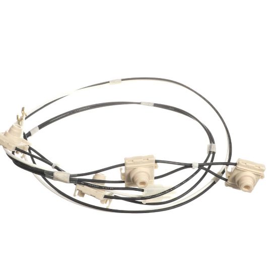 Picture of Electrolux Switch Assembly,ignitor,4 Valv Part# 5304509745