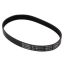 Picture of Electrolux Belt,ribbed Part# 5304511359