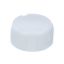 Picture of Electrolux Cap,agitator Part# 5304515844