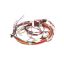 Picture of Electrolux Harness,wiring,main Part# 5304516158