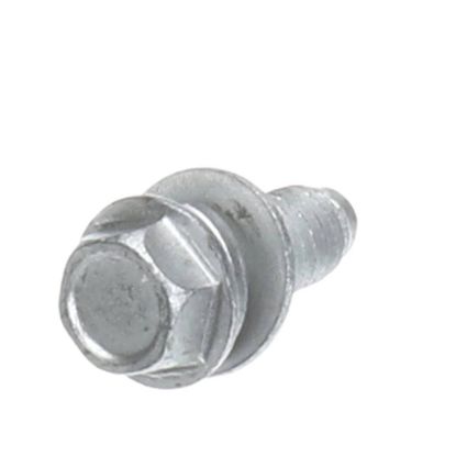 Picture of Electrolux Bolt,clutch Mtg. Part# 5304524342