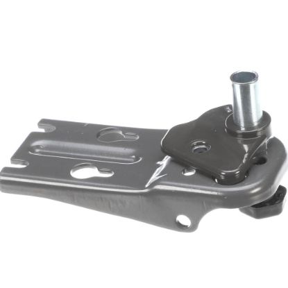 Picture of Electrolux Hinge Assembly,lower,rh Part# 5304525238