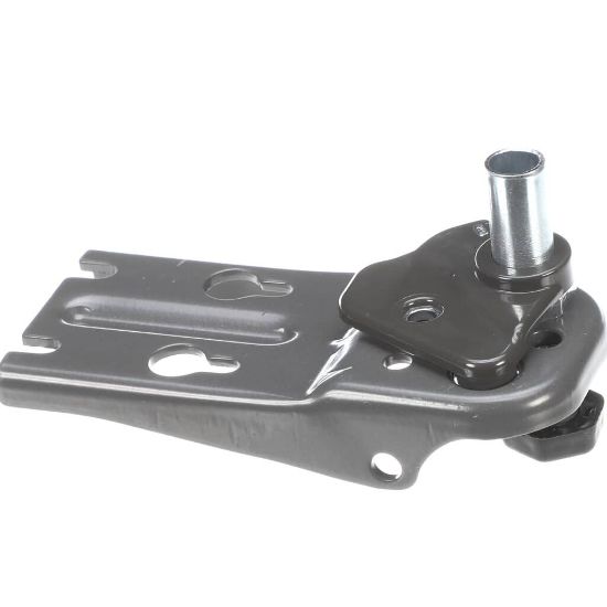 Picture of Electrolux Hinge Assembly,lower,rh Part# 5304525238