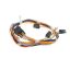 Picture of Electrolux Harness,main Wiring,lower Oven Part# 5304526514