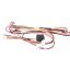Picture of Electrolux Harness,wiring,door Part# 5304530998