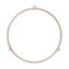 Picture of GE Roller Guide Ring Part# WB02X21331