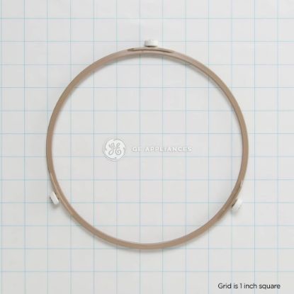 Picture of GE Ring Part# WB06X10862
